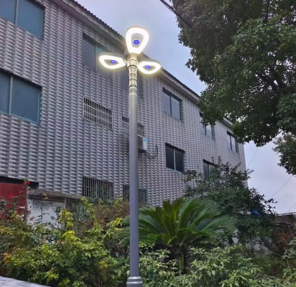 天津太阳能路灯厂家监控杆 - 价格
